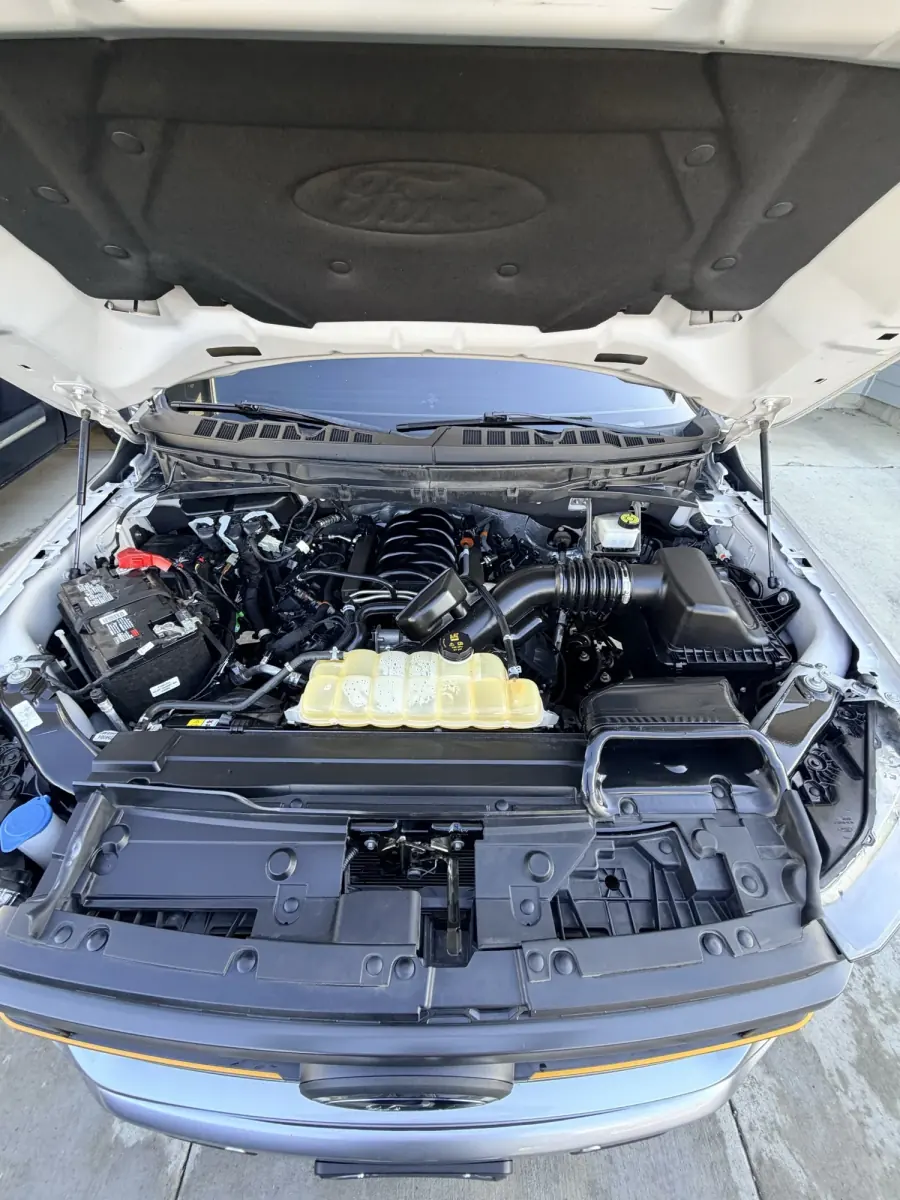 Engine bay cleaned and dressed